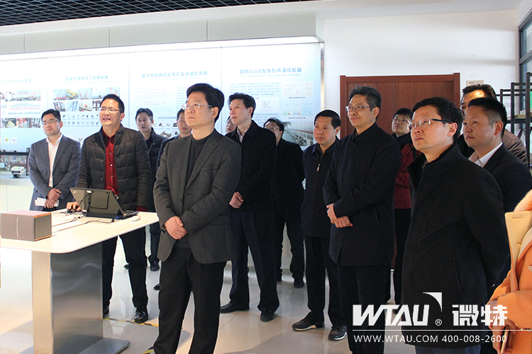 市委常委、組織部長汪偉來微特調(diào)研